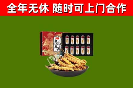 当涂县烟酒回收冬虫夏草礼盒.jpg